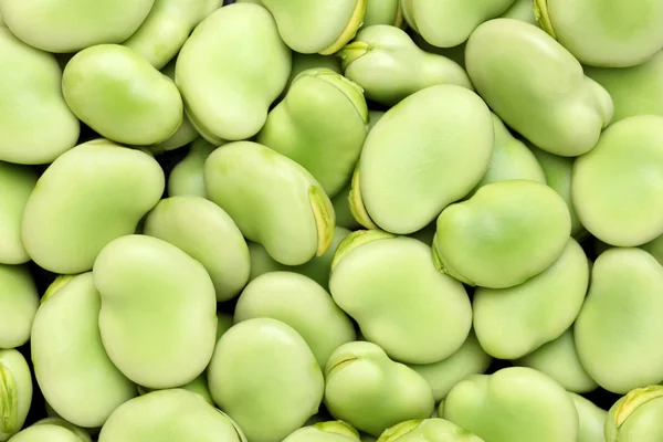 Broad beans — Stock Photo, Image