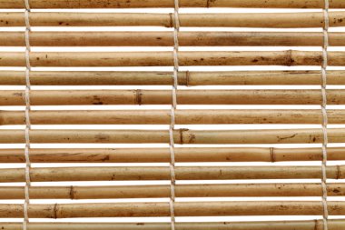 Bambu kör