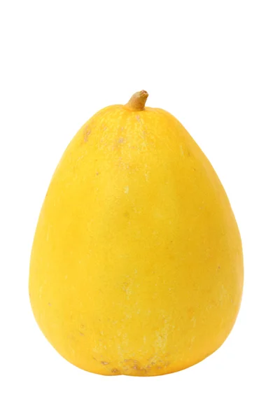 Melón oriental — Foto de Stock