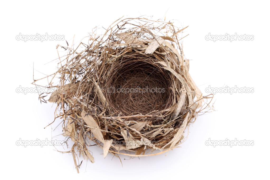 Stockfotos Dry Bird Nest Bilder Stockfotografie Dry Bird Nest Lizenzfreie Fotos Depositphotos