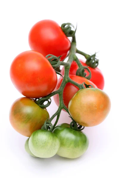 Tomates vermelhos e verdes — Fotografia de Stock