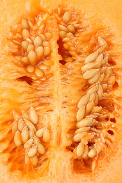 Cantaloupe melon — Stock Photo, Image