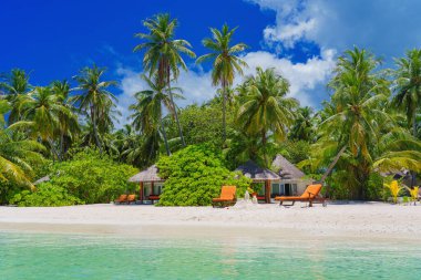  Turkuaz mavi su ve mavi gökyüzü ile tropik cennet sahillerinde kakao palmiyeleri 