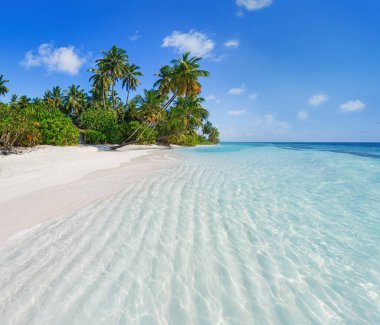 Beach with palm trees and crystal clear water. Idyllic tropical island in summer.