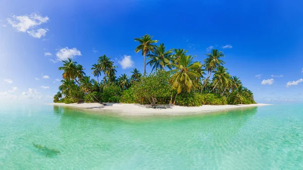 Güzel Maldivler Tropikal Ada Panorama Stok Resim