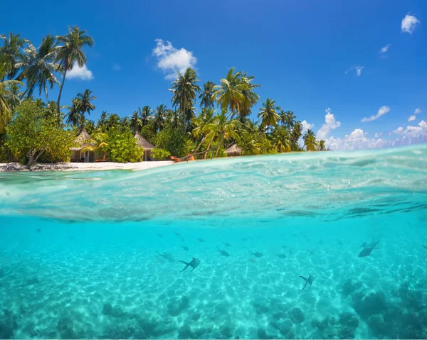 Beautiful Maldives Tropical Island Underwater Panorama — Foto Stock