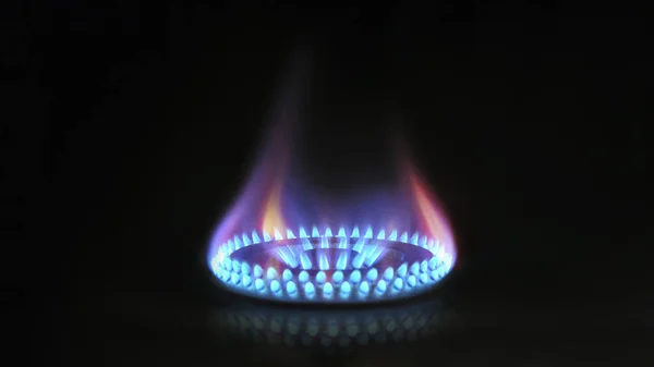 Horno Gas Las Lenguas Anaranjadas Llama Azul Del Quemador Gas Fotos de stock libres de derechos