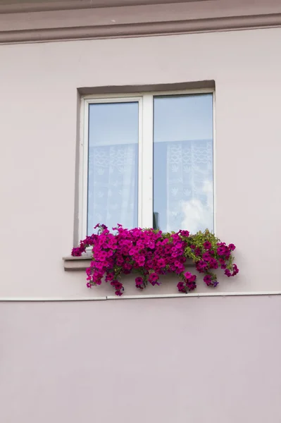 Старый дом, окно, жалюзи и цветы — стоковое фото