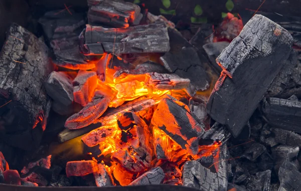 Táborový oheň — Stock fotografie