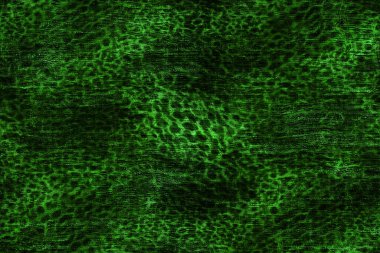 Dijital boyalı soyut tasarım, renkli doku, fraktal sanat. Duvar dekorasyonu. Soyut eşarp, modern arkaplan çizimi, fraktal yüzey, ışık efekti dokusu, modern suluboya arka plan.