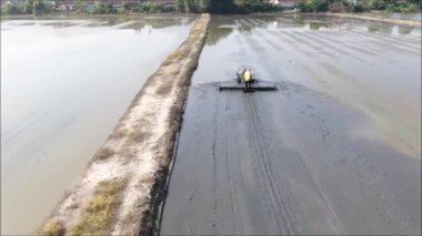 Tayland 'da pirinç yetiştirmeye hazırlanan pirinç tarlalarının havadan görünüşü 