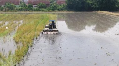 Tayland 'da pirinç yetiştirmeye hazırlanan pirinç tarlalarının havadan görünüşü