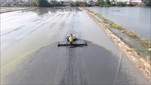 Flygfoto Risfältsberedning För Risodling Thailand — Stockvideo