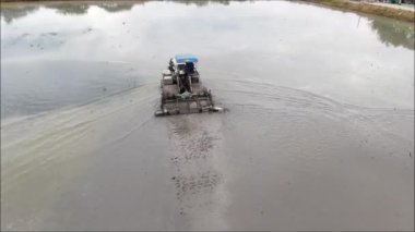 Tayland 'daki pirinç tarlasının insansız hava görüntüsü. 