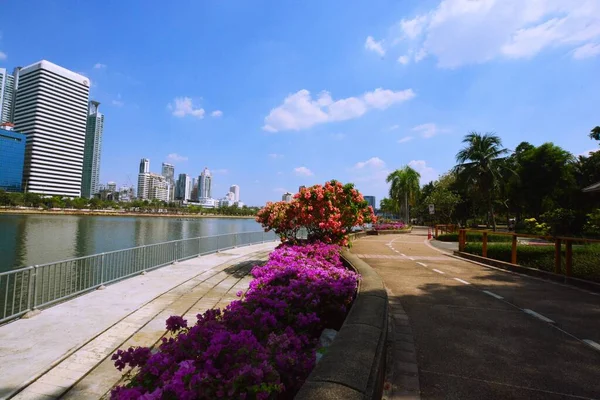 Parco Architettura Paesaggio Urbano Thailandia — Foto Stock