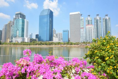 Tayland 'da park, mimari ve şehir manzarası 