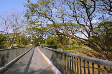 Tayland 'da park, mimari ve şehir manzarası 