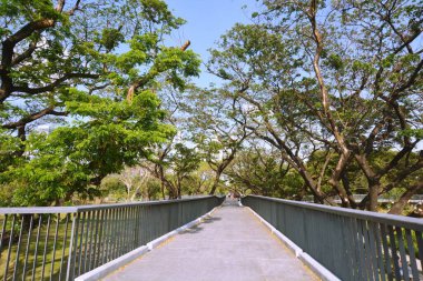 Tayland 'da park, mimari ve şehir manzarası 