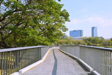 Tayland 'da park, mimari ve şehir manzarası 
