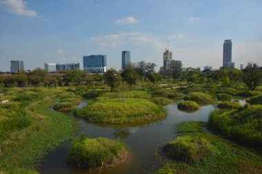 Tayland 'da park, mimari ve şehir manzarası 