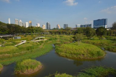 Tayland 'da park, mimari ve şehir manzarası 