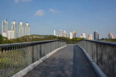 Tayland 'da park, mimari ve şehir manzarası 