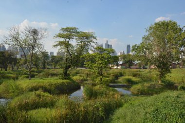 Tayland 'da park, mimari ve şehir manzarası 
