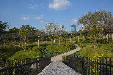 Tayland 'da park, mimari ve şehir manzarası 