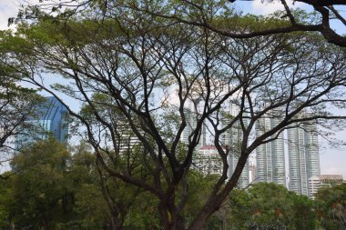 Tayland 'da park, mimari ve şehir manzarası 