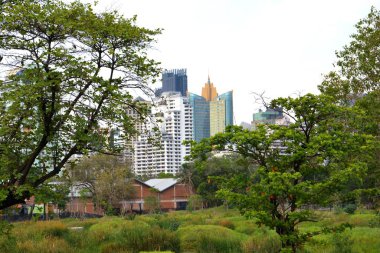 Tayland 'da park, mimari ve şehir manzarası 