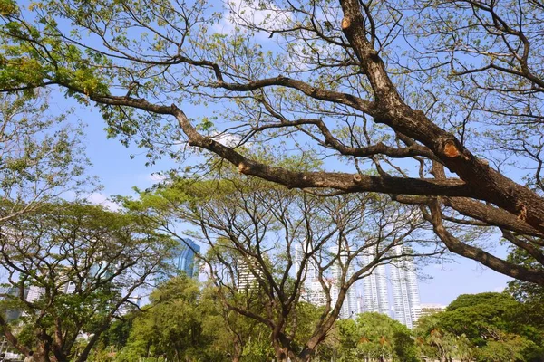 Parque Arquitetura Paisagem Urbana Tailândia — Fotografia de Stock