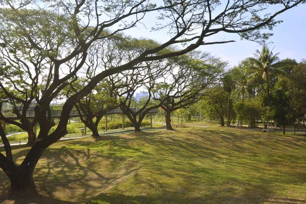 Parque Arquitetura Paisagem Urbana Tailândia — Fotografia de Stock