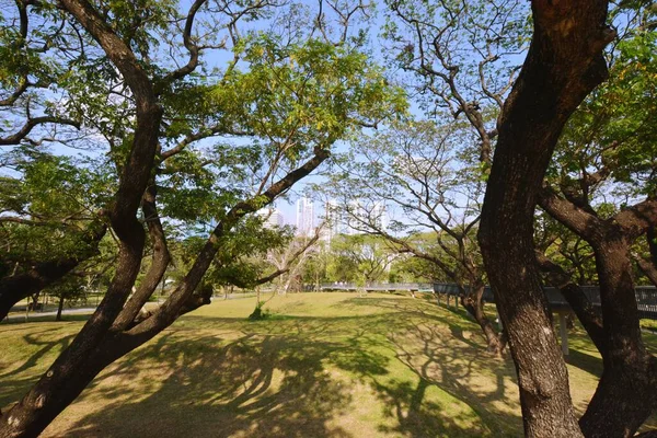 Parque Arquitetura Paisagem Urbana Tailândia — Fotografia de Stock