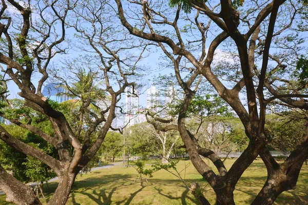 Parque Arquitetura Paisagem Urbana Tailândia — Fotografia de Stock