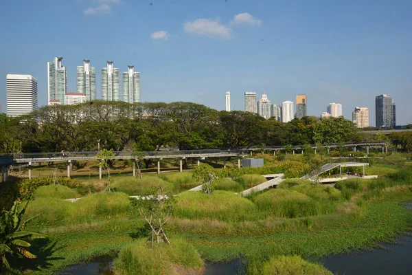 Tayland 'da park, mimari ve şehir manzarası 