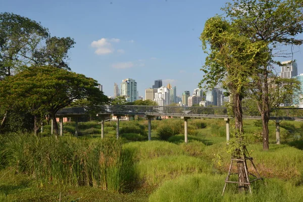 Parco Architettura Paesaggio Urbano Thailandia — Foto Stock