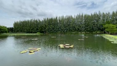Landscape and recreational park in Thailand 