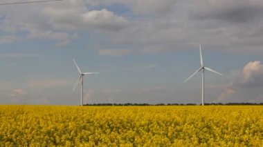 Sarı alan, zaman atlamalı olarak alternatif enerji