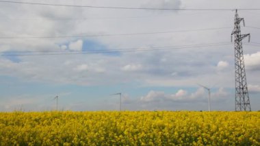 sarı çiçek alanında, zaman atlamalı alternatif enerji