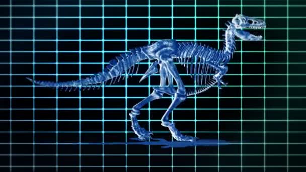 Dino T-Rex walking EKG background,loop — Stock Video