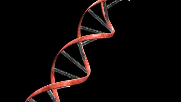 Vetro della riparazione del DNA — Video Stock