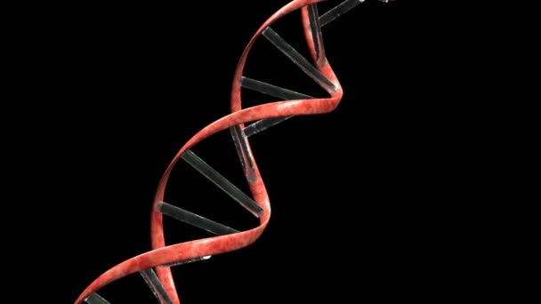 Alfa de loop de DNA — Vídeo de Stock