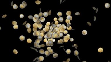 euromunten vallen op de camera