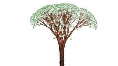 Avrupa ağaç büyüyen ve Rüzgar, Alfa dahil akan