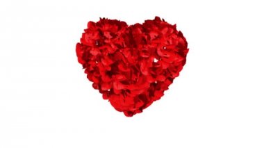 corazón de libros blancos explotando