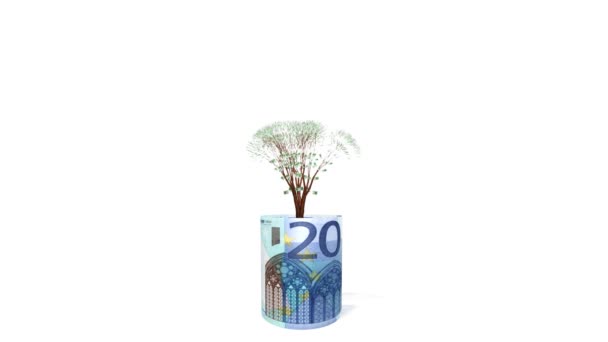 Ευρώ δέντρο μεγαλώνει μέσα τραπεζογραμματίων ευρώ — Αρχείο Βίντεο