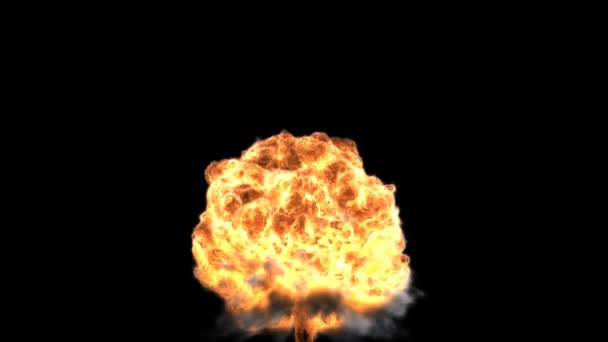 Nuclear explosion high resolution render,frame freezing — Stock Video