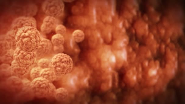 Belül az emberi test, a zsírsejtek, rendkívül részletes textúra — Stock videók