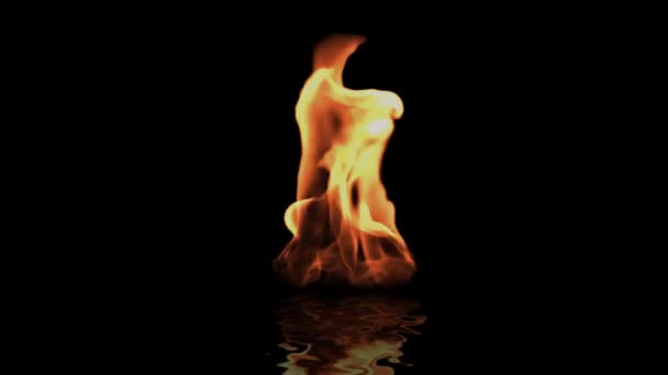 Siyah karşı yangın dilini — Stok video