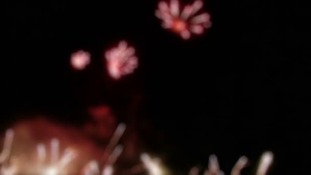 จอแสดงผลดอกไม้ไฟพบมากขึ้นในแกลเลอรี่ของฉัน — วีดีโอสต็อก